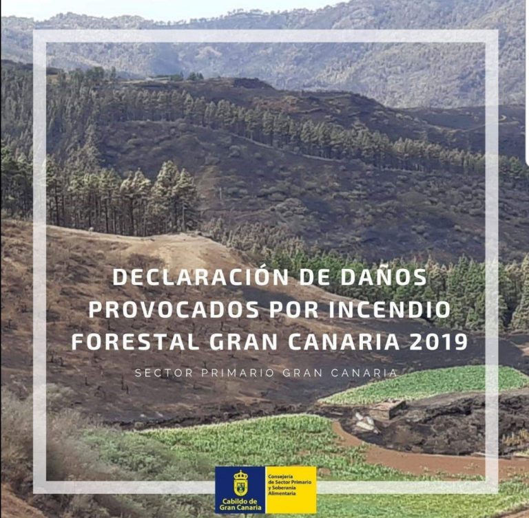 El Ayuntamiento de Santa María de Guía publica la convocatoria de las ayudas destinadas a los damnificados por el incendio de agosto