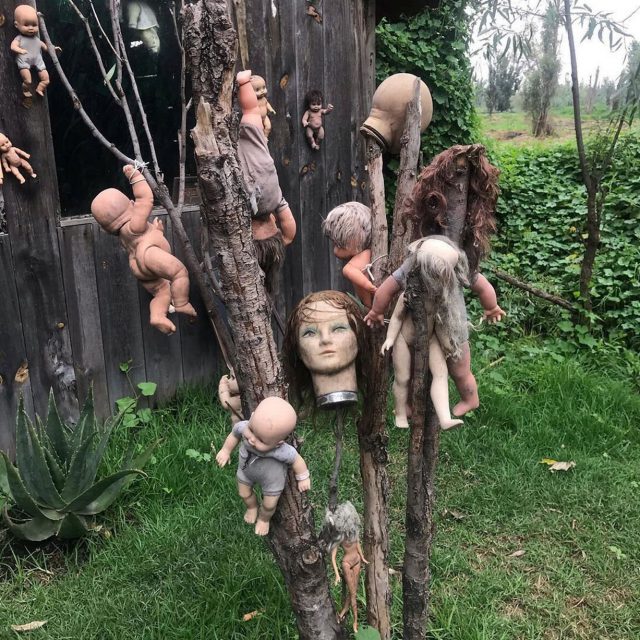 0 SWNS ISLAND DOLLS 3