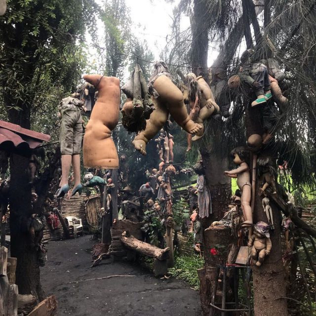 0 SWNS ISLAND DOLLS 4