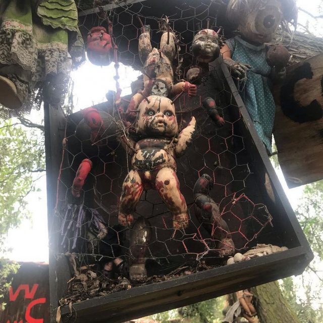 1 SWNS ISLAND DOLLS 6