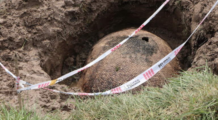 Unos pescadores encuentran el 'mega-caparazón' de un animal prehistórico de más de 10.000 años de antigüedad