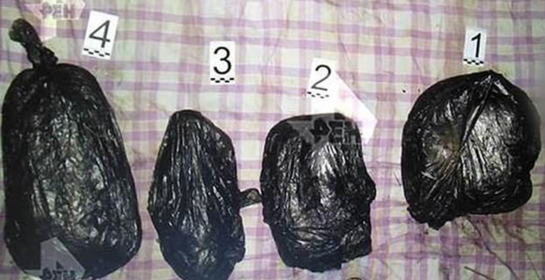 Una mujer asesina y descuartiza a su pareja después de que ésta acabara con su gato