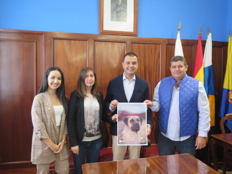 Más de un centenar de los mejores ejemplares del presa canario se dan cita este fin de semana en el pabellón municipal ‘Beatriz Mendoza Rivero’