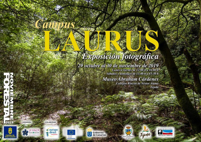 Noviembre Forestal 2019 se acerca a Tejeda con la Exposición Divulgativa “Campus LAURUS”