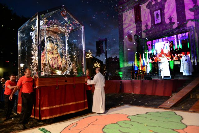 GUIA VIRGEN DEL PINO 8741