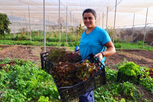 HUERTA EL CORDEL VILLA DE AGÜIMES 2