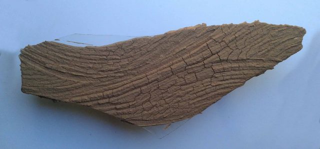 La obra titulada El Roquete de Paco López.