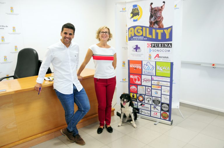 El Campeonato de Agility 2019 se celebra en Maspalomas