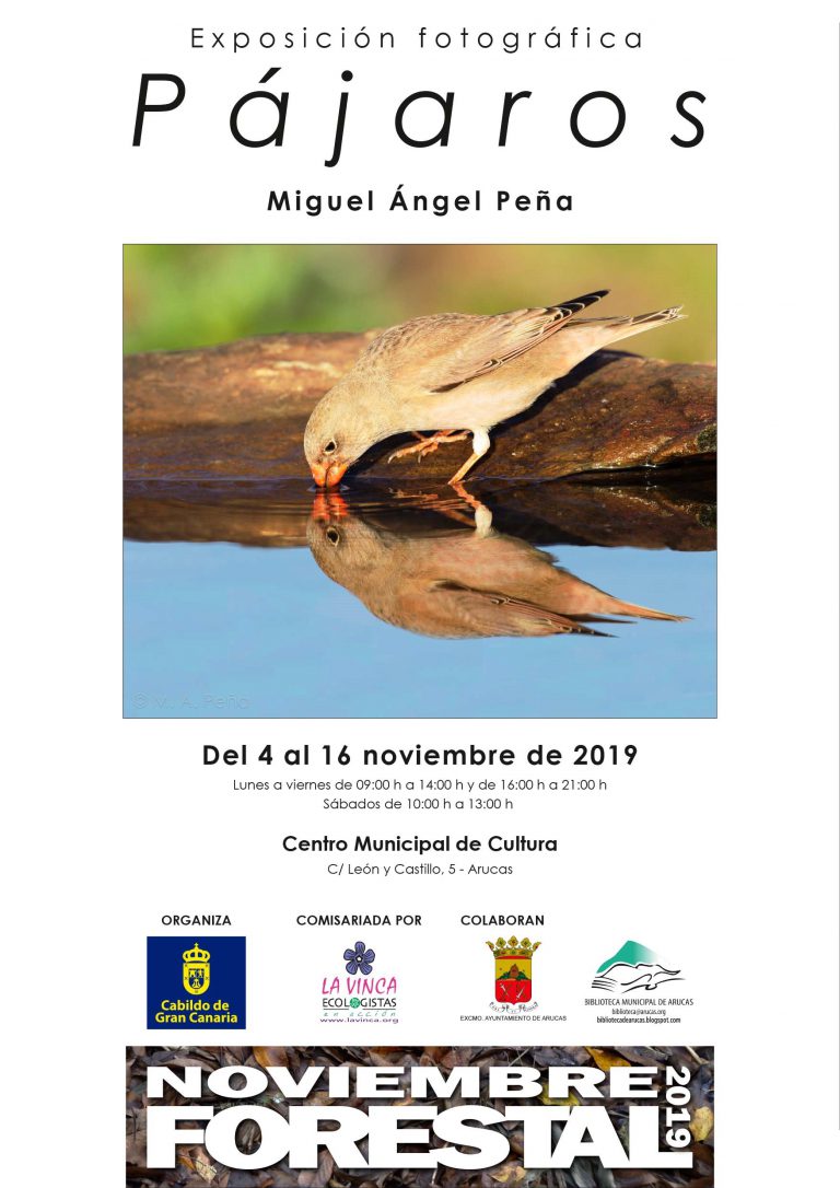 Noviembre Forestal llega a Arucas el lunes 4 de noviembre con la Exposición “PÁJAROS”, de Miguel Ángel Peña