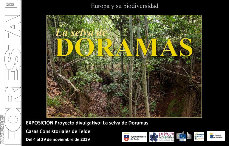 Noviembre Forestal 2019 visita Telde con la Exposición Divulgativa “LA SELVA DE DORAMAS”