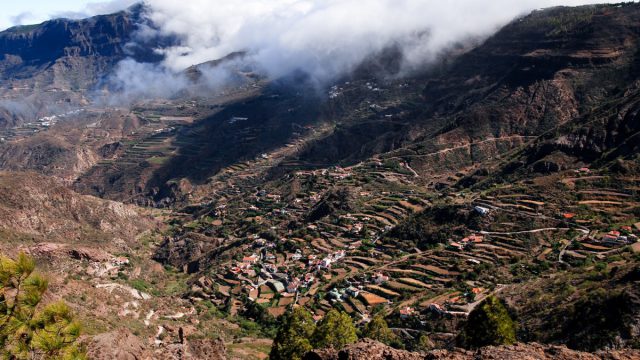 Sistemas de bancales en la zona de La Culata en Tejeda.