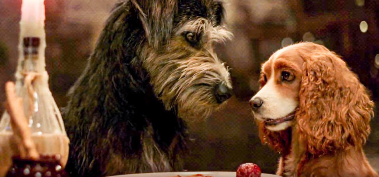 Así es el trailer del remake de 'La dama y el vagabundo' interpretada por perros reales