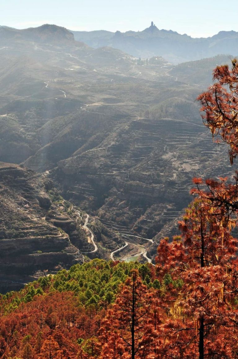 Arranca el Programa de Senderos 2019/ 2020 que organiza la Concejalía de Actividad Física, Deporte y Salud