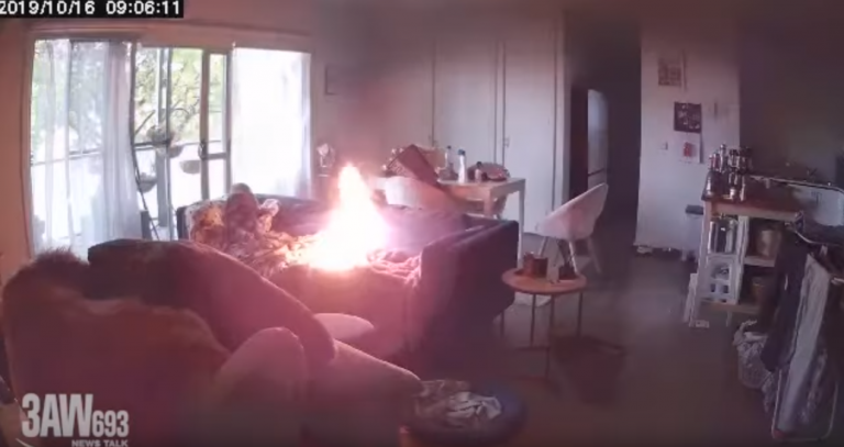 Un cachorro que mordisqueaba un mechero prende fuego al sillón de su dueña