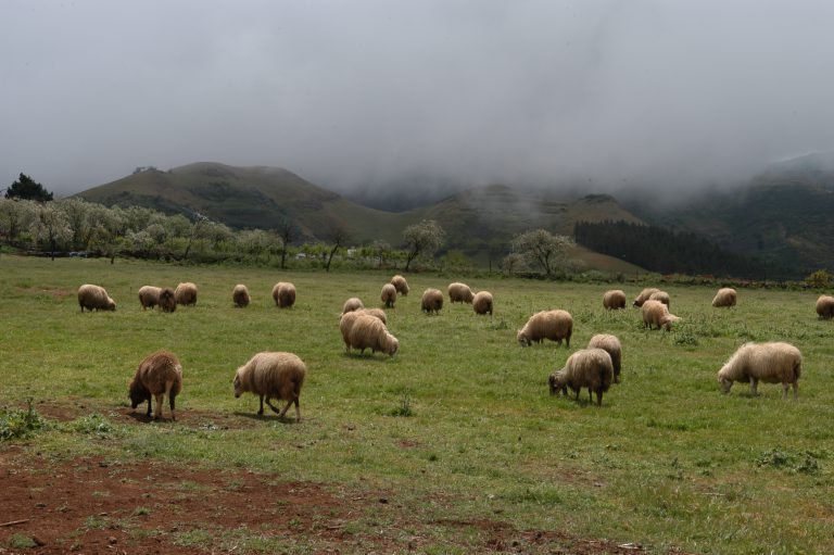 Unión de Uniones pide a Bruselas que se respete el principio de reciprocidad
