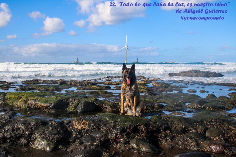 Agüimes conmemoró el Día Mundial de Los Animales con una exposición fotográfica #YOMECOMPROMETO