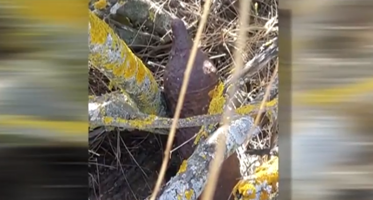 Encuentran un obús de la Guerra Civil junto a unos famosos cines de Madrid