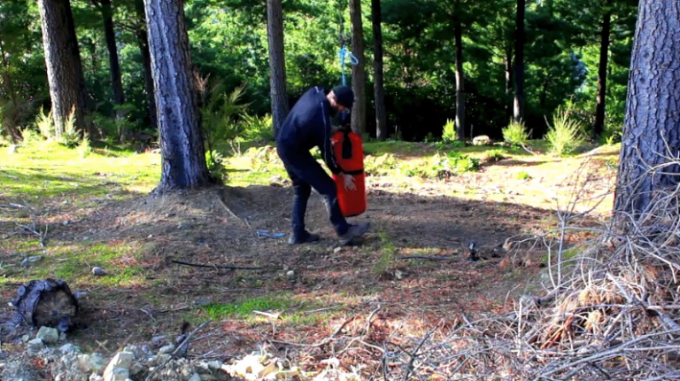 Un hombre cuelga un 'puching' de boxeo junto a una cámara oculta en medio de un bosque y esto es lo que sucede