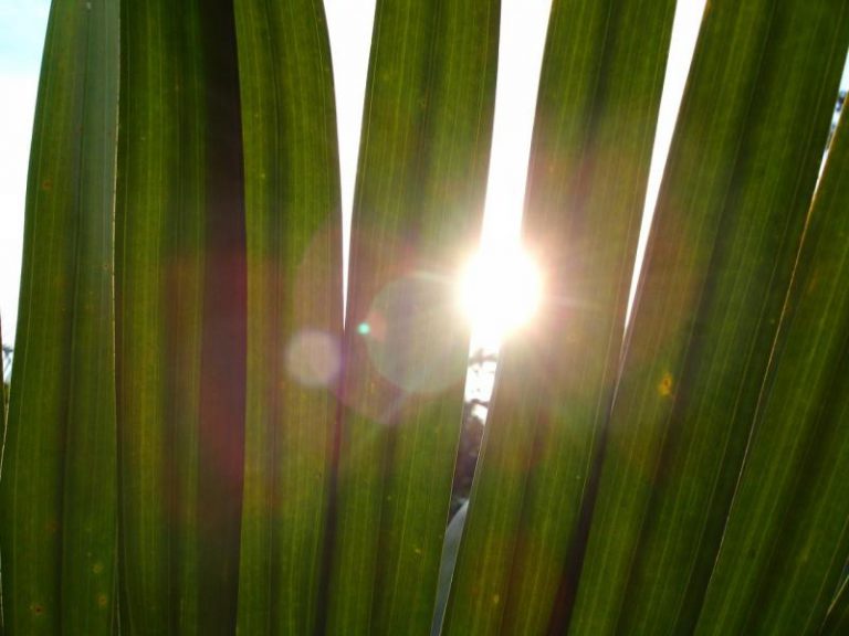 Aviso en varias provincias del suroeste por temperaturas de 36 a 41 grados