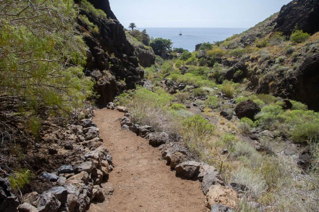 Los agentes de Medio Ambiente colaborarán con la ciudadanía para evitar errores en la desescalada 1 191127 teno