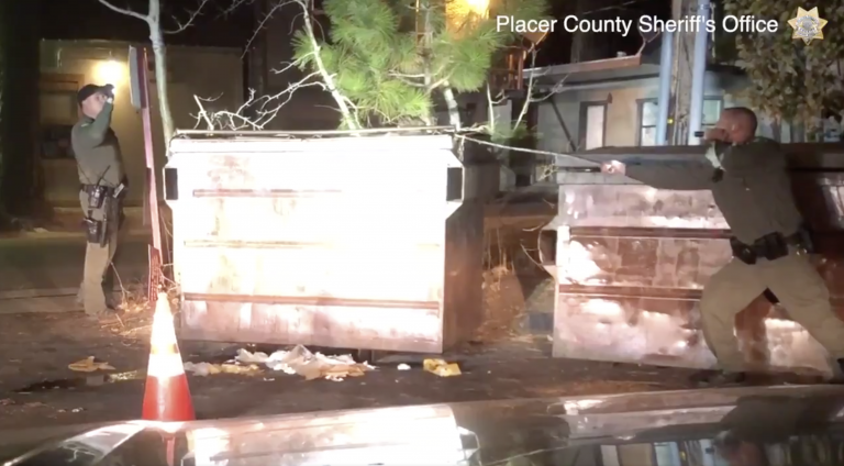 El peligroso rescate de un oso atrapado en un contenedor de basuras