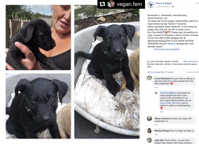 Captura de pantalla 2019 11 11 a las 10.28.25