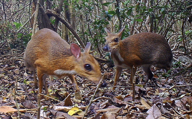 Captura de pantalla 2019 11 12 a las 9.53.56