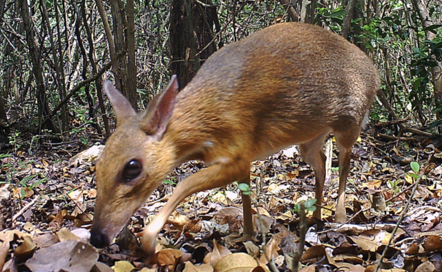 Captura de pantalla 2019 11 12 a las 9.54.18