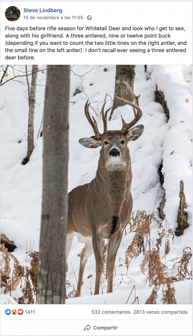 Captura de pantalla 2019 11 15 a las 8.46.24