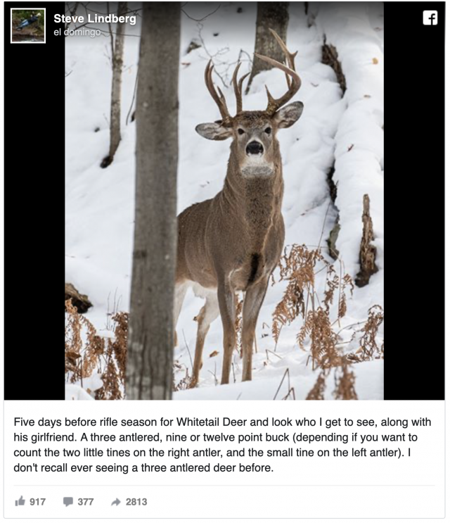 Captura de pantalla 2019 11 15 a las 9.01.46
