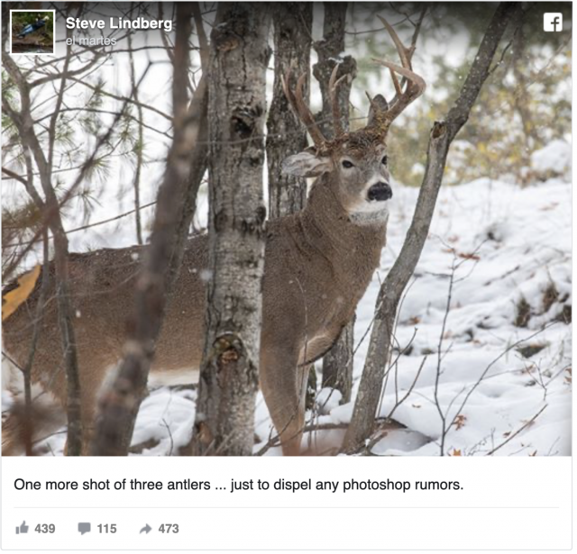 Captura de pantalla 2019 11 15 a las 9.02.01