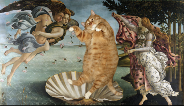 Captura de pantalla 2019 11 18 a las 11.34.08