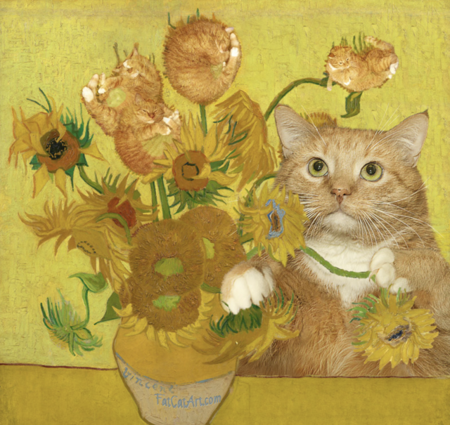 Captura de pantalla 2019 11 18 a las 11.44.43