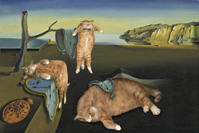 Captura de pantalla 2019 11 18 a las 11.46.36