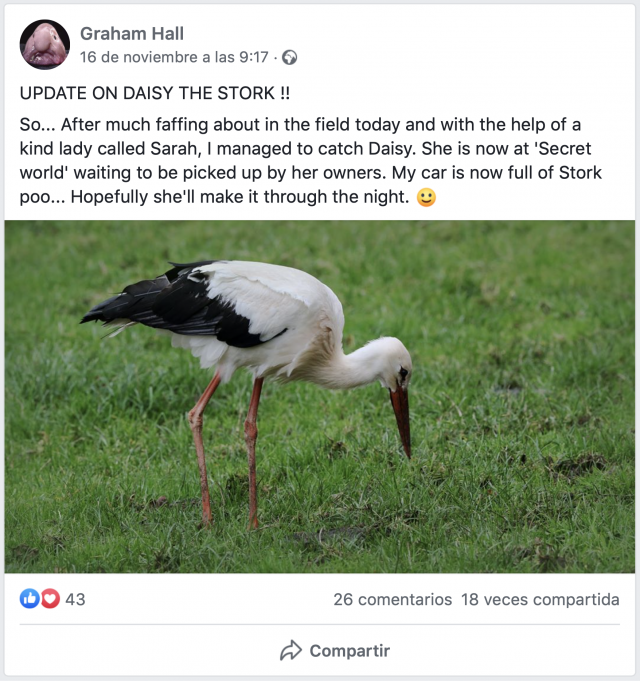 Localizan a una cigüeña a casi 200 kilómetros del zoo del que escapó 32 Captura de pantalla 2019 11 19 a las 11.01.14