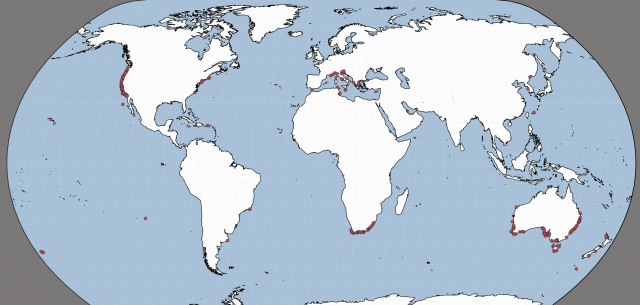 Las 10 especies más mortíferas que habitan en nuestros océanos 6 Captura de pantalla 2019 11 19 a las 16.54.09