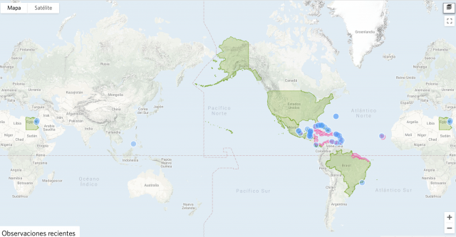 Las 10 especies más mortíferas que habitan en nuestros océanos 8 Captura de pantalla 2019 11 19 a las 17.33.00