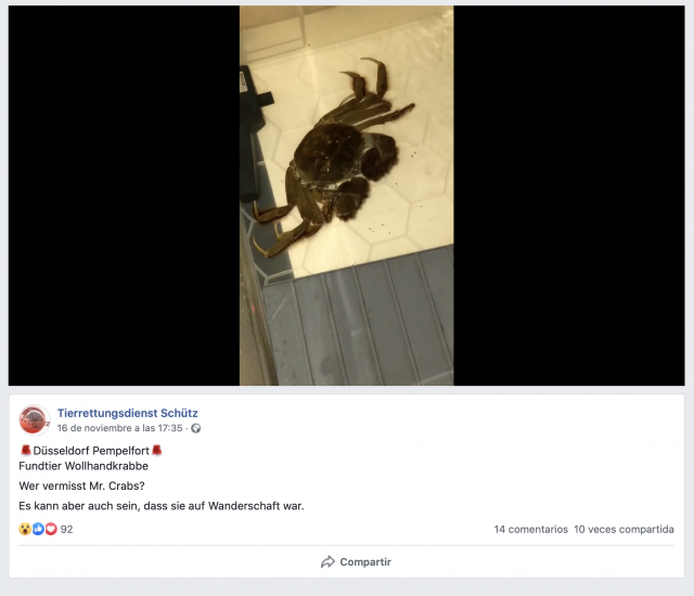 Captura de pantalla 2019 11 21 a las 9.32.27