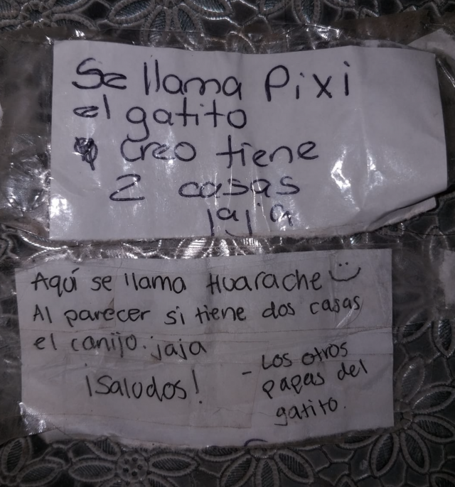 Captura de pantalla 2019 11 22 a las 11.44.27