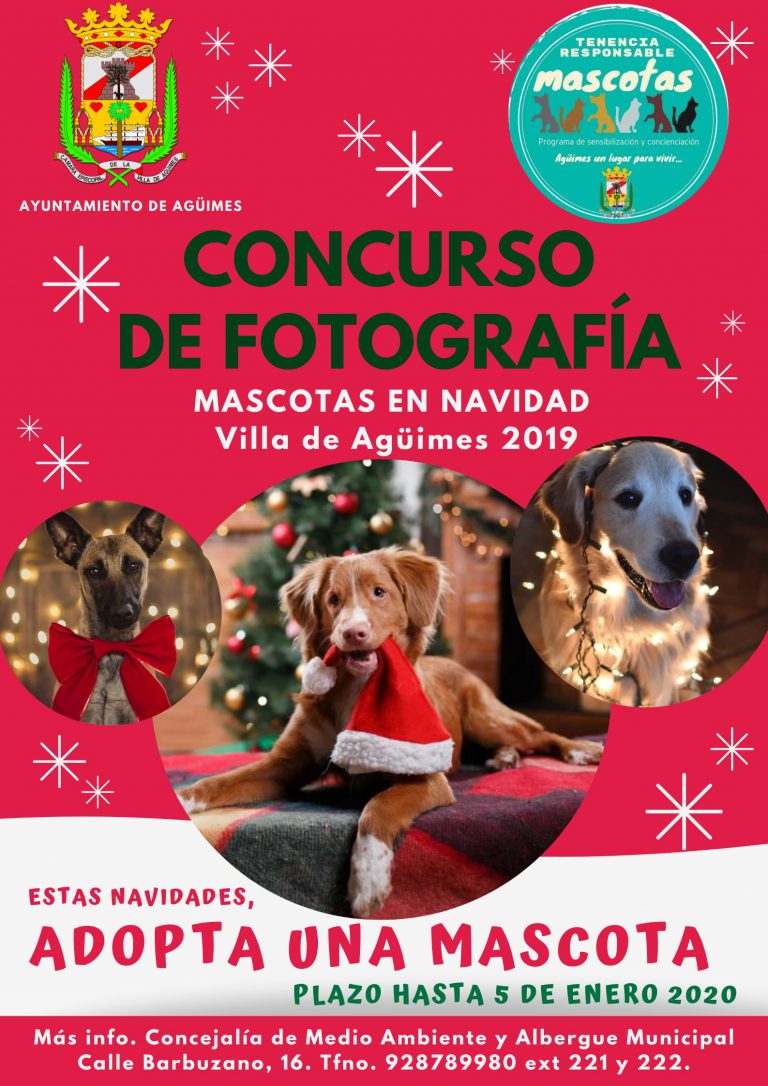 El Ayuntamiento de Agüimes organiza el  Concurso de Fotografías  “Esta Navidad adopta una mascota”, dentro del Programa de Tenencia Responsable de Mascotas