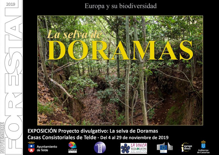 Noviembre Forestal 2019 visita Telde con la exposición La Selva de Doramas