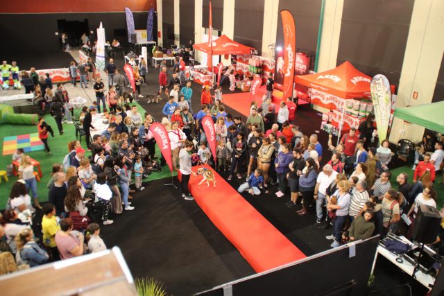 Feria Amigo Can LPGC 1