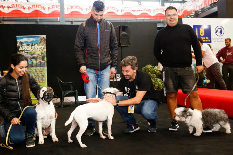 Más de 3.000 personas disfrutan con las exhibiciones caninas, charlas y talleres infantiles de la Feria ‘Amigo Can LPGC’