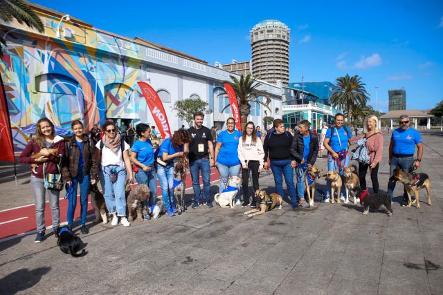 Feria Amigo Can LPGC 3