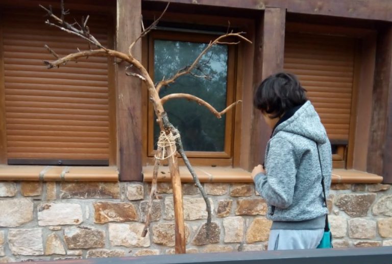 Brochazos de naturaleza y diversidad