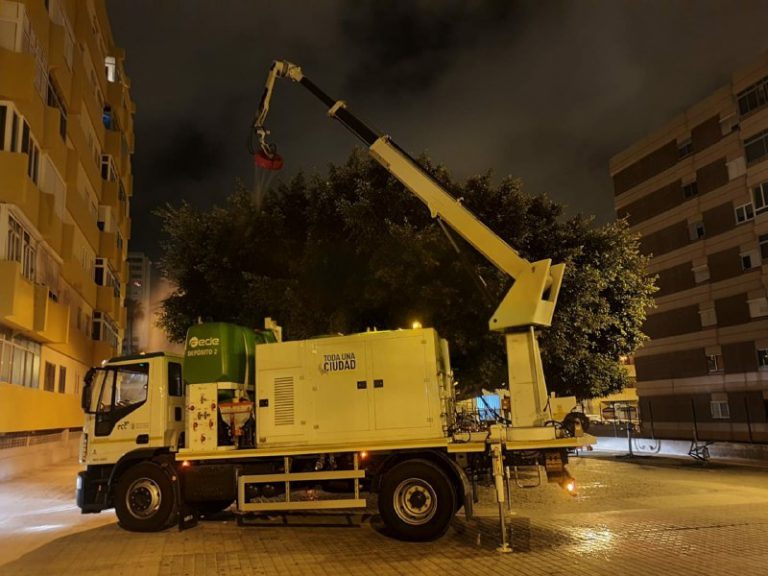 El Ayuntamiento refuerza los medios destinados a combatir la mosca blanca