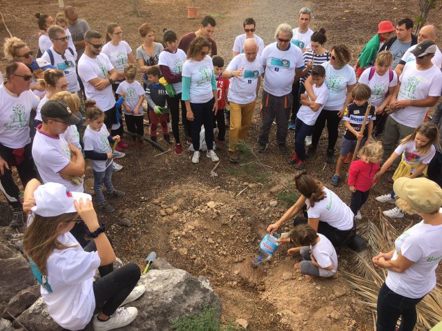 PLANTACIÓN MES FORESTAL PRIMERA FASE 1