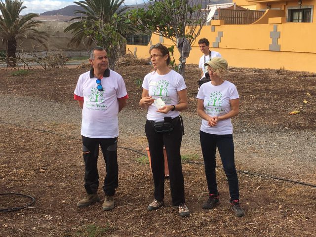 PLANTACIÓN MES FORESTAL PRIMERA FASE 3