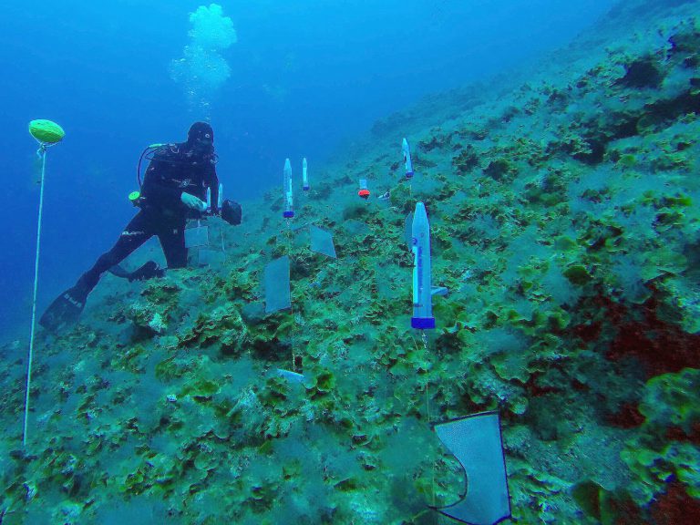 Expertos analizan la evolución y cambios que amenazan al Océano Atlántico centro-oriental