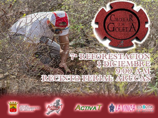 Plantación 1 DIC Arucas